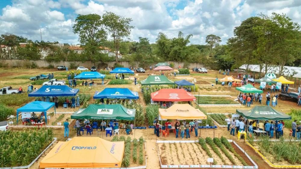 Cursos da UNIGRAN fomentam mercado do agronegócio da região